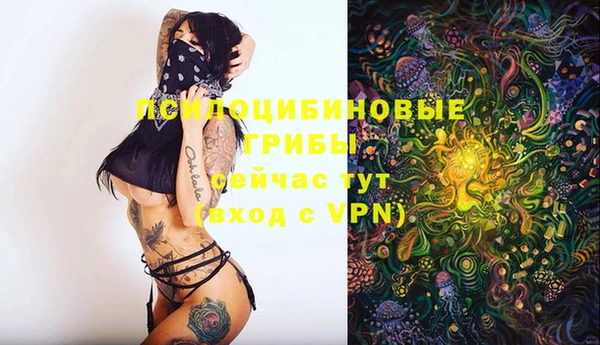 МДМА Каменка