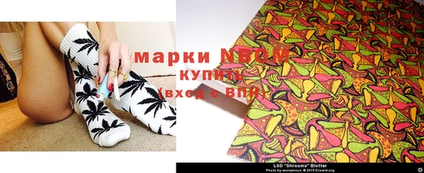 ПСИЛОЦИБИНОВЫЕ ГРИБЫ Касимов