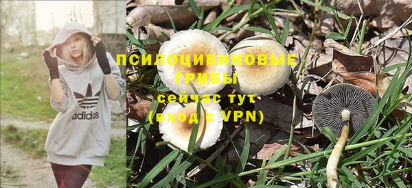 МДМА Каменка