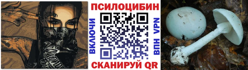 Псилоцибиновые грибы MAGIC MUSHROOMS  Купить закладки  Зубцов 